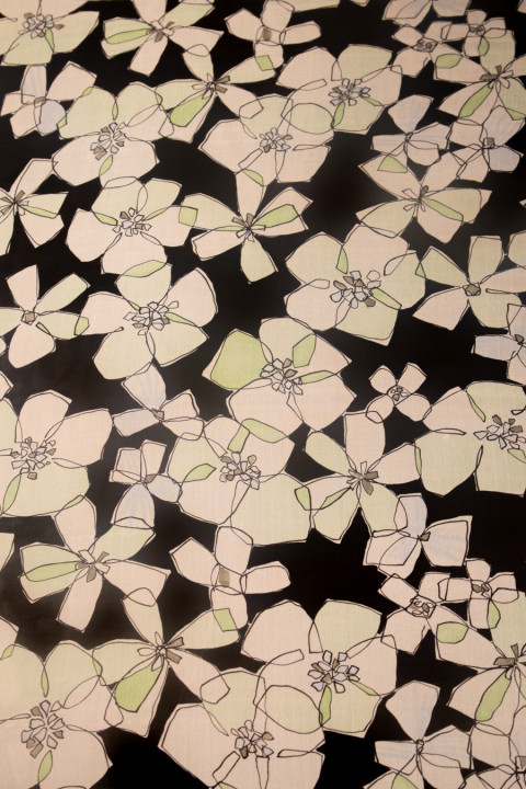 Muslin silk printed