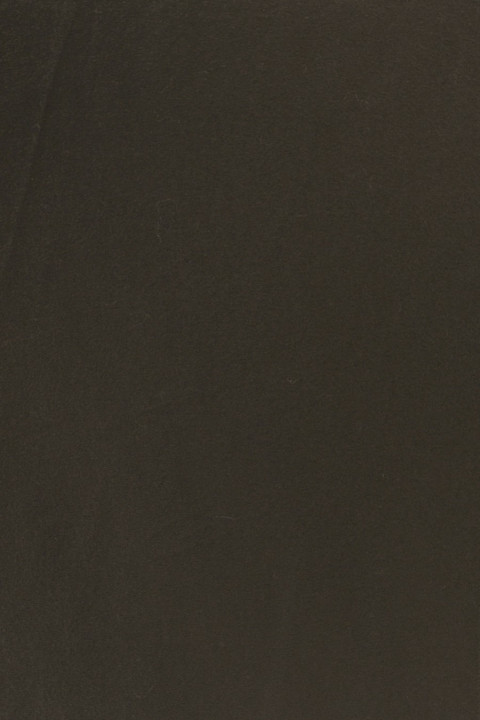 Coat fabric wool gray-green