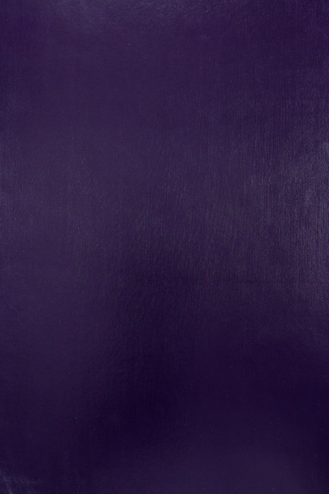 Combinaison (plongeur) violet avec brillant