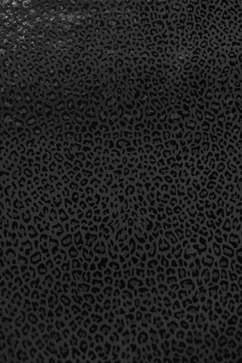 Black lacka in panther