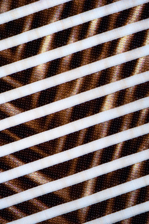 Gestreepte organza met zigzagmotief