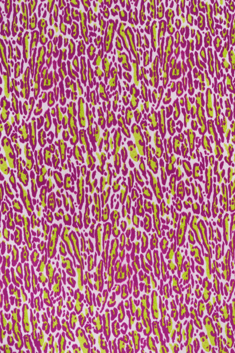 Cotton knitted fabric - colorful panther