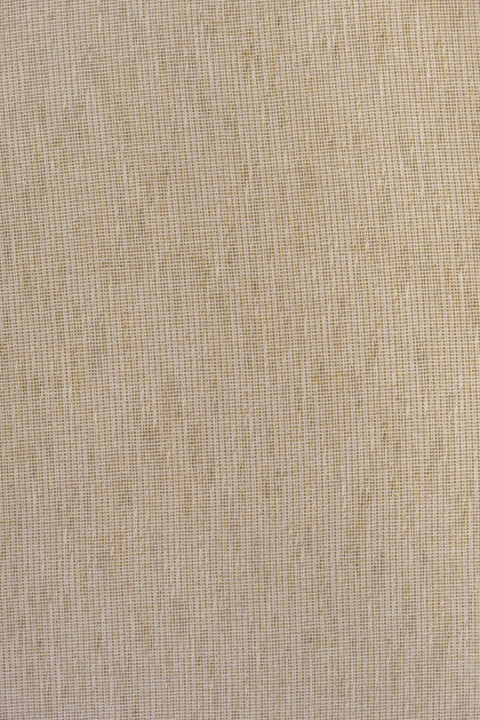 White-beige costume fabric