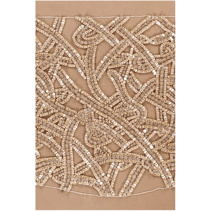 Application - corset with apricot sequins