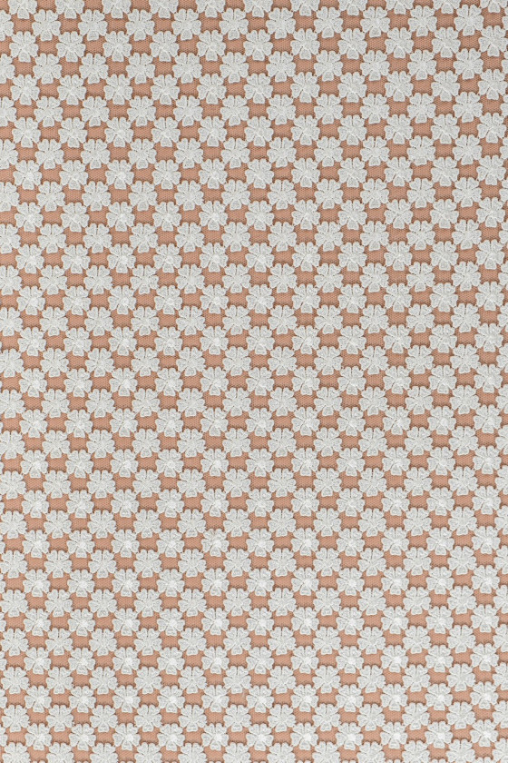 Pits väikesed lilled...