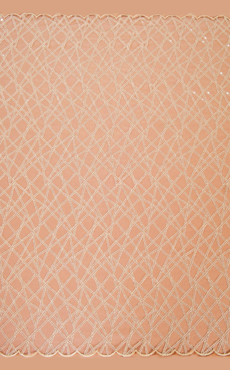 Beige lace with sequins - narrow