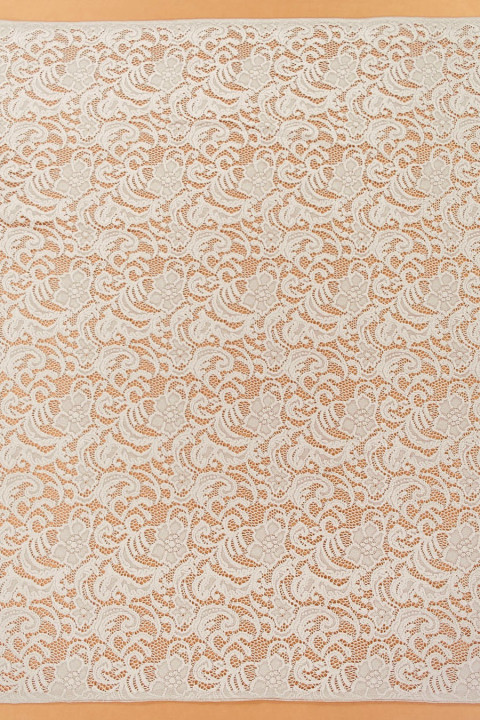 Lace in flowers - cold beige