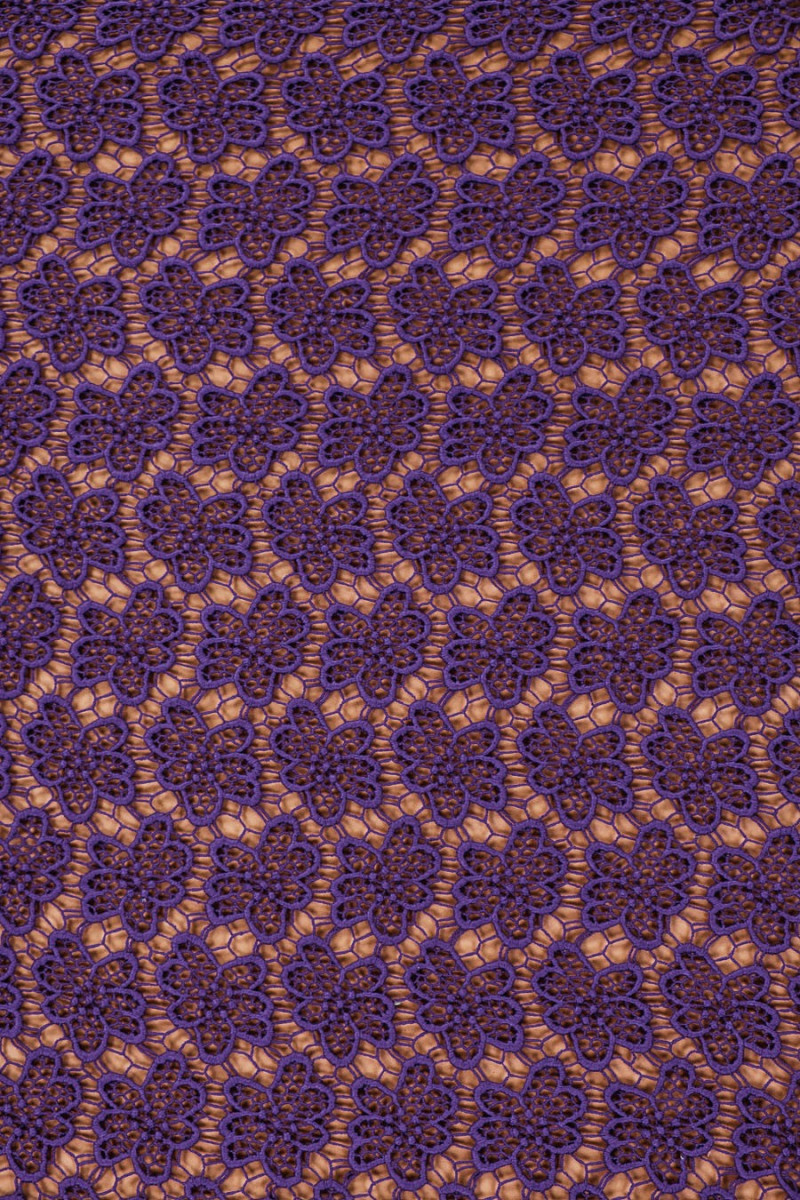 Gipiūro violetinė