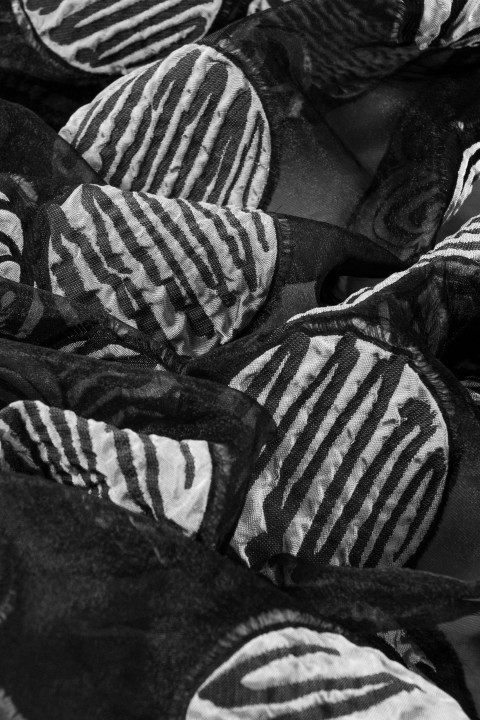 Organza jacquard con cerchi