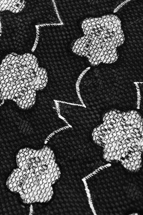 Silk organza embroidered with flowers
