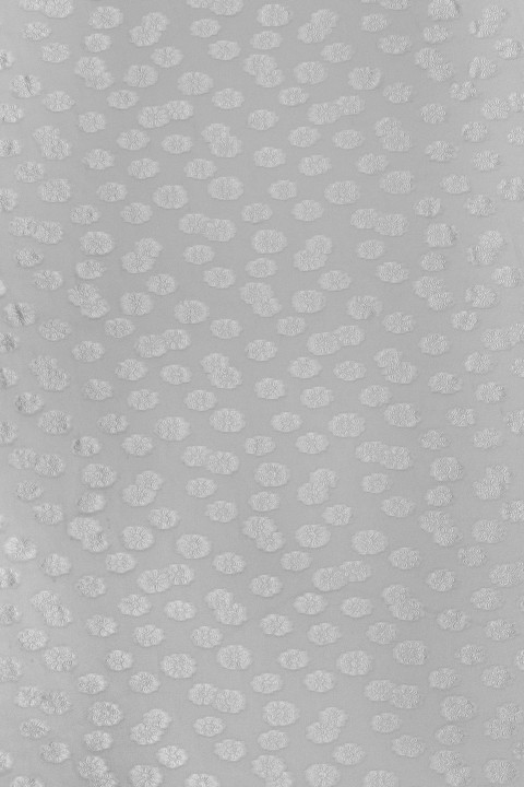 Cream organza with flowers