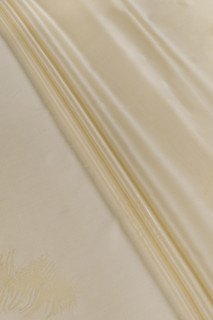 Silk Organza - Coupon