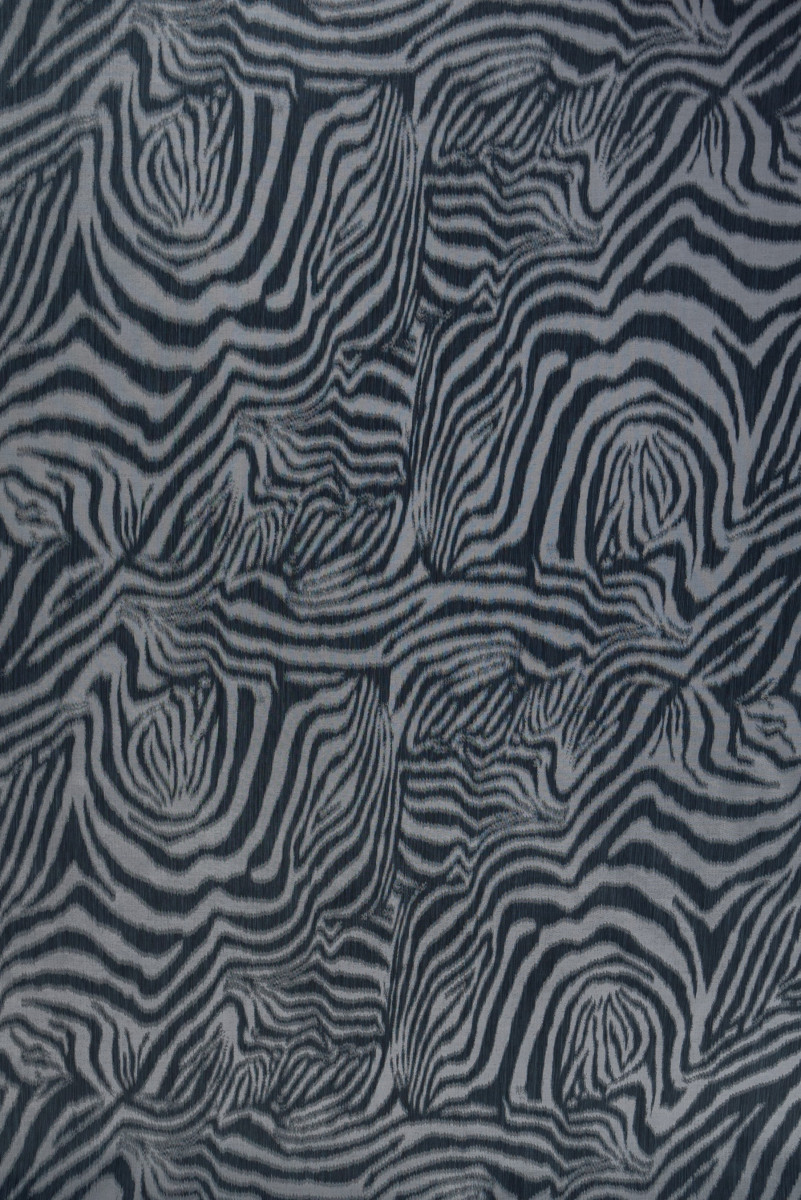 Zsákvarrású százados - zebra