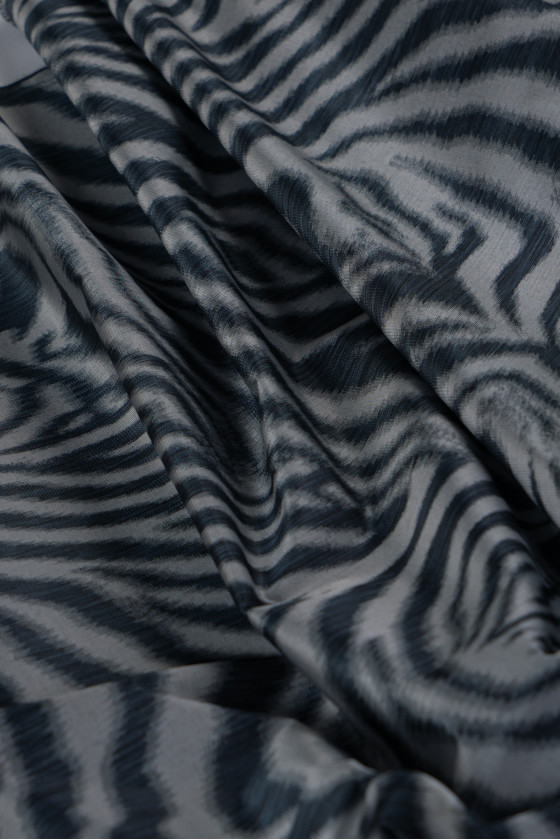 Zsákvarrású százados - zebra