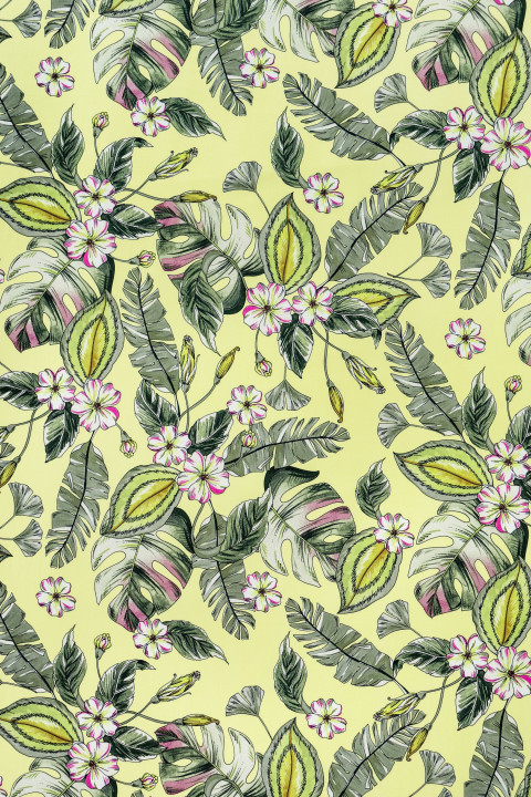 Elastic cotton in leaves