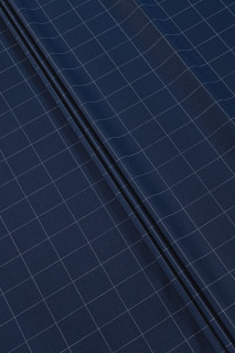 Pledinė binezonų vilna