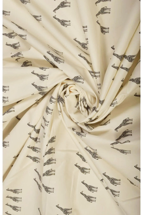 Coton Girafe