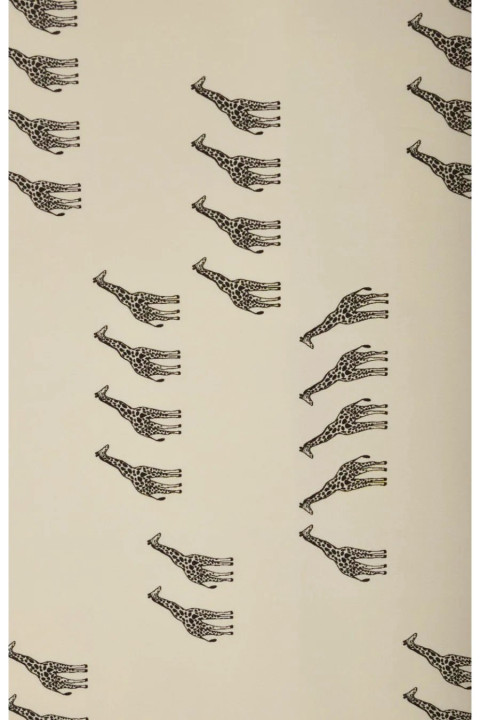 Coton Girafe
