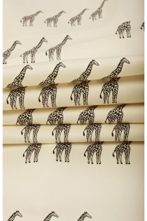 Coton Girafe