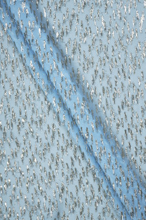 Silk chiffon in leopard