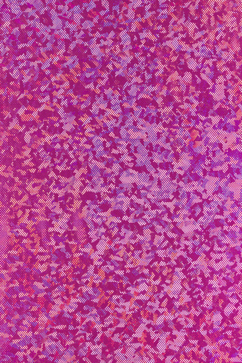 Lycra with glitter