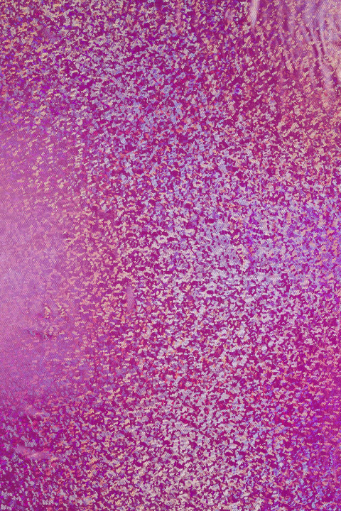 Lycra with glitter