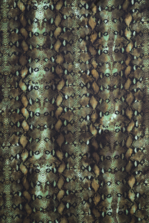 Gestreifter Seidenköper