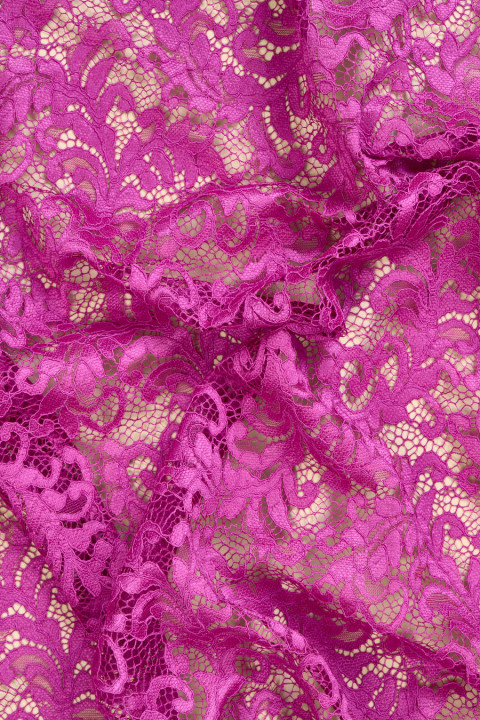 Fuchsia lace