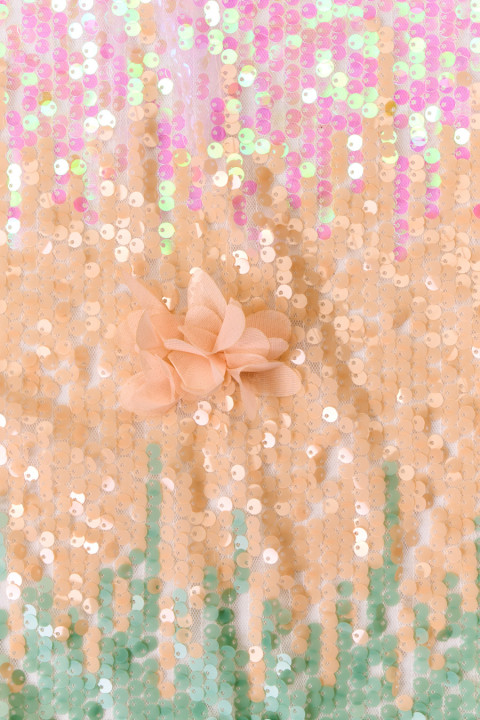 Sequins with 3D flowers