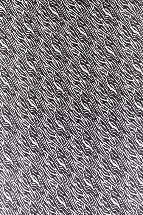 Satyna jedwabna zebra