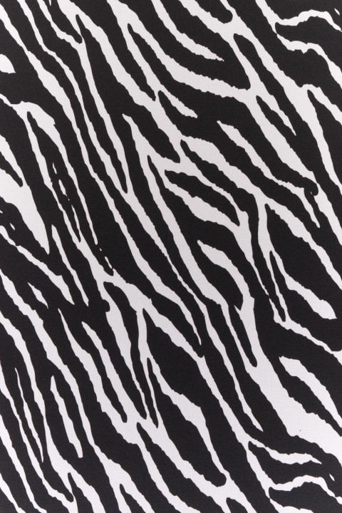 Satyna jedwabna zebra