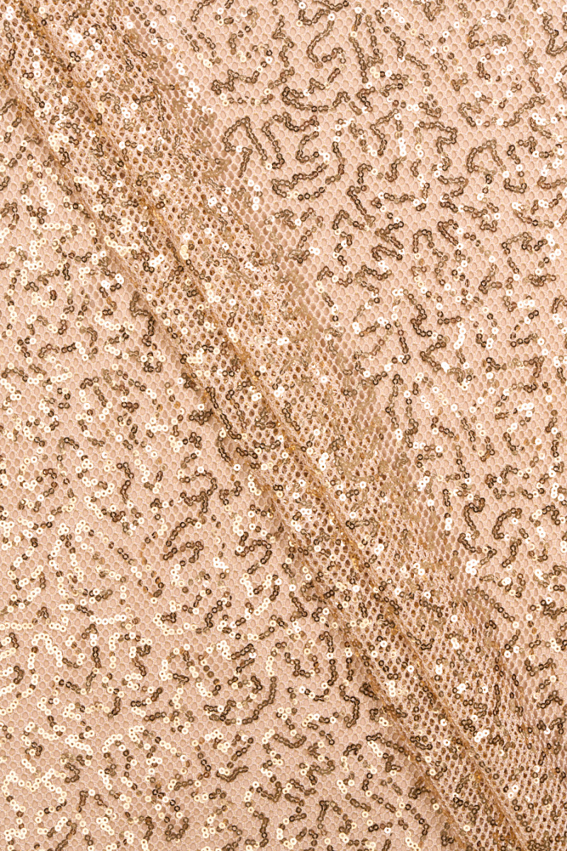 Mesh with gold sequins