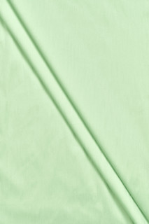 Light green shirt viscose