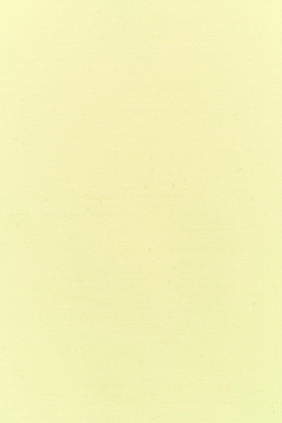 Camisa viscosa amarillo claro