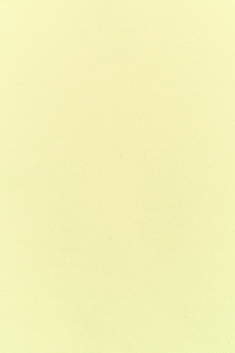 Chemise viscose jaune clair