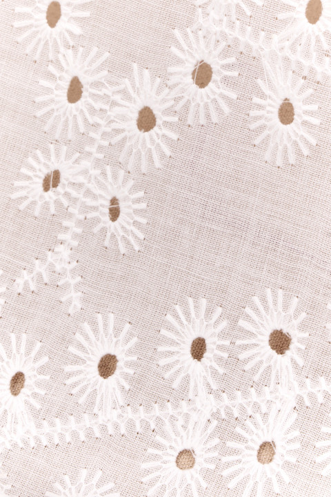 Cotton - Richelieu ecru embroidery
