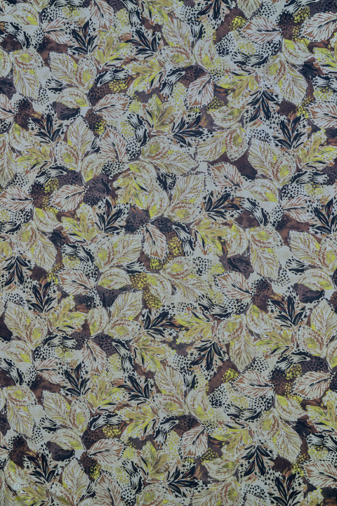 Cotton with leaves green