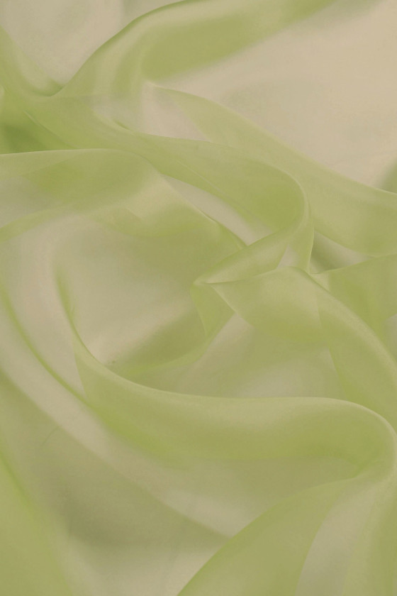 Silk kiwi organza