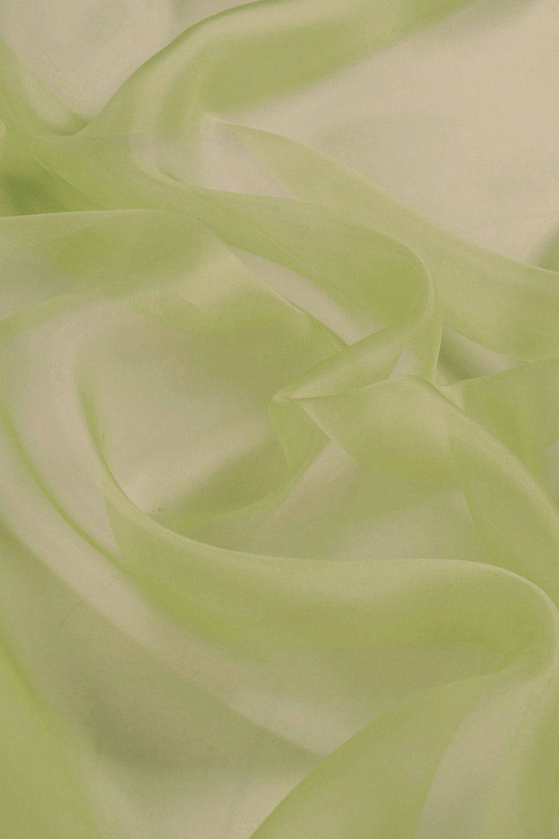 Silk kiwi organza