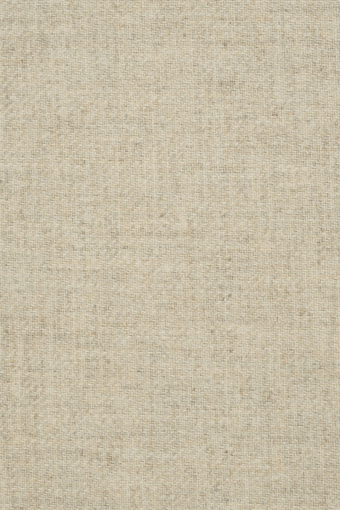 Light beige costume fabric