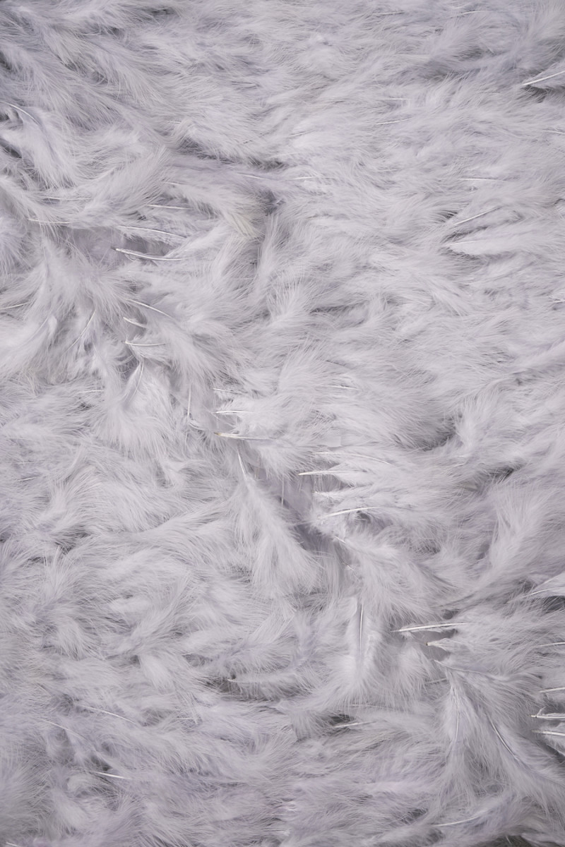 Evening fabric with feathers light grey