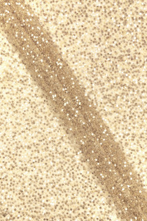 Tessuto paillettes beige e oro