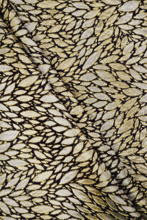 Frunze de aur jacquard