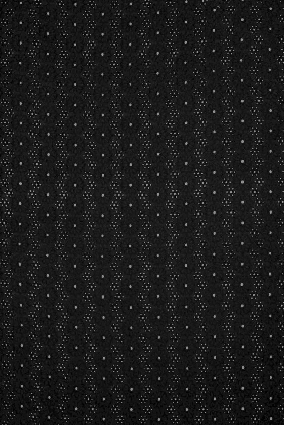 Cotton embroidery Richelieu flowers black