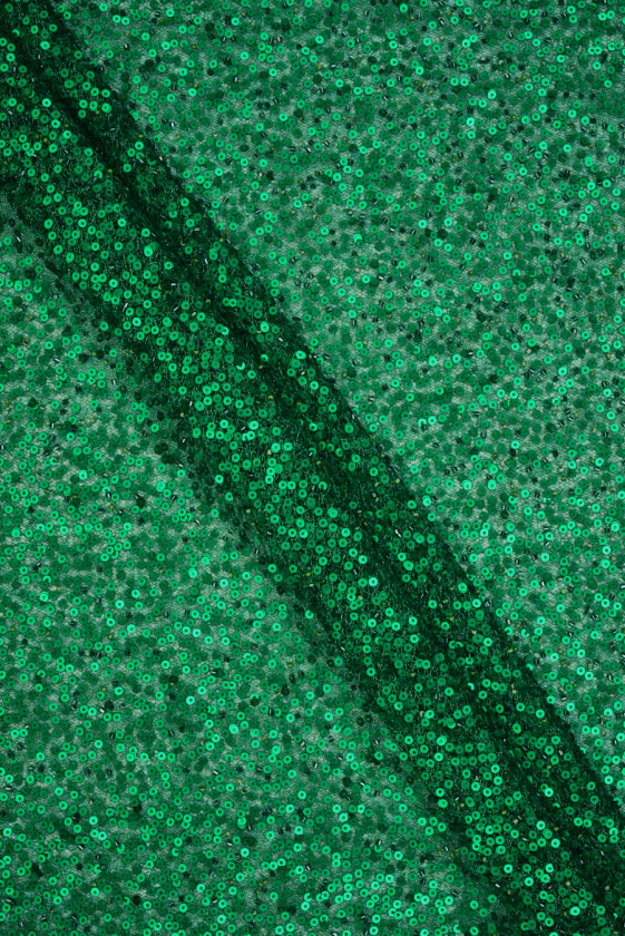 Sequins with beads evening...