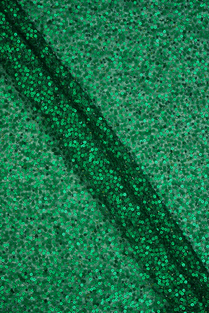 Sequins with beads evening green