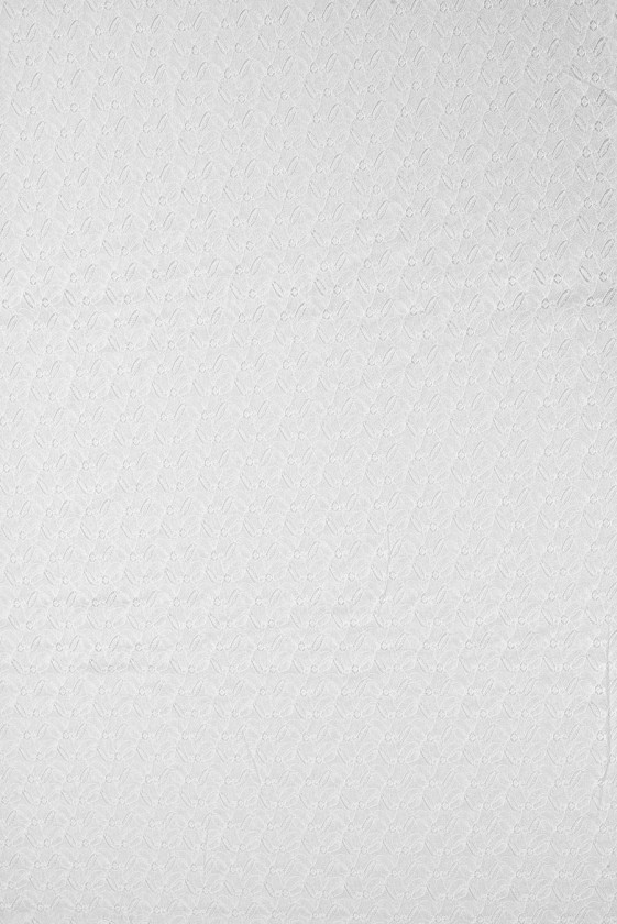 Cotton embroidered with small leaves