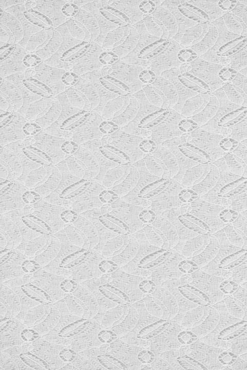 Cotton - Richelieu ecru embroidery