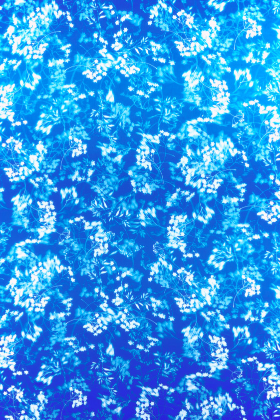 Cornflower blue silk satin with blurred flowers