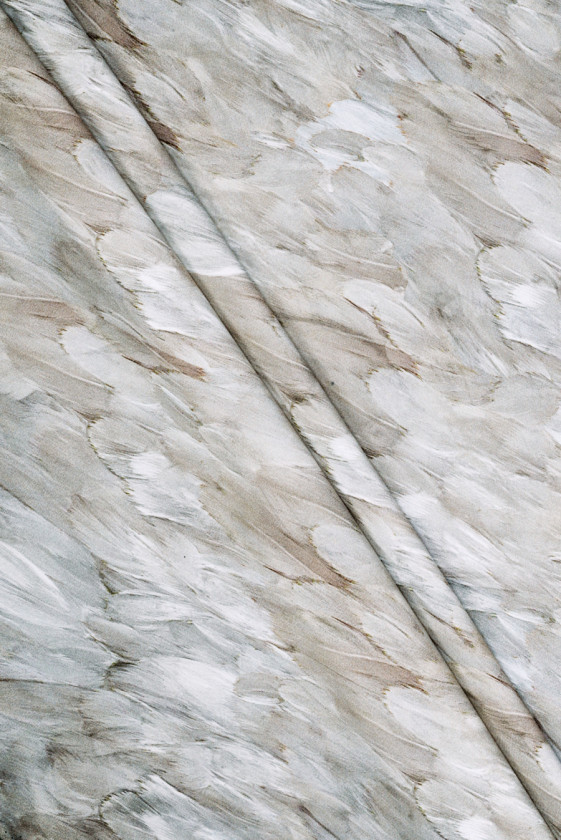 Cadi Viscose Beige Fjer KUPON 80cm